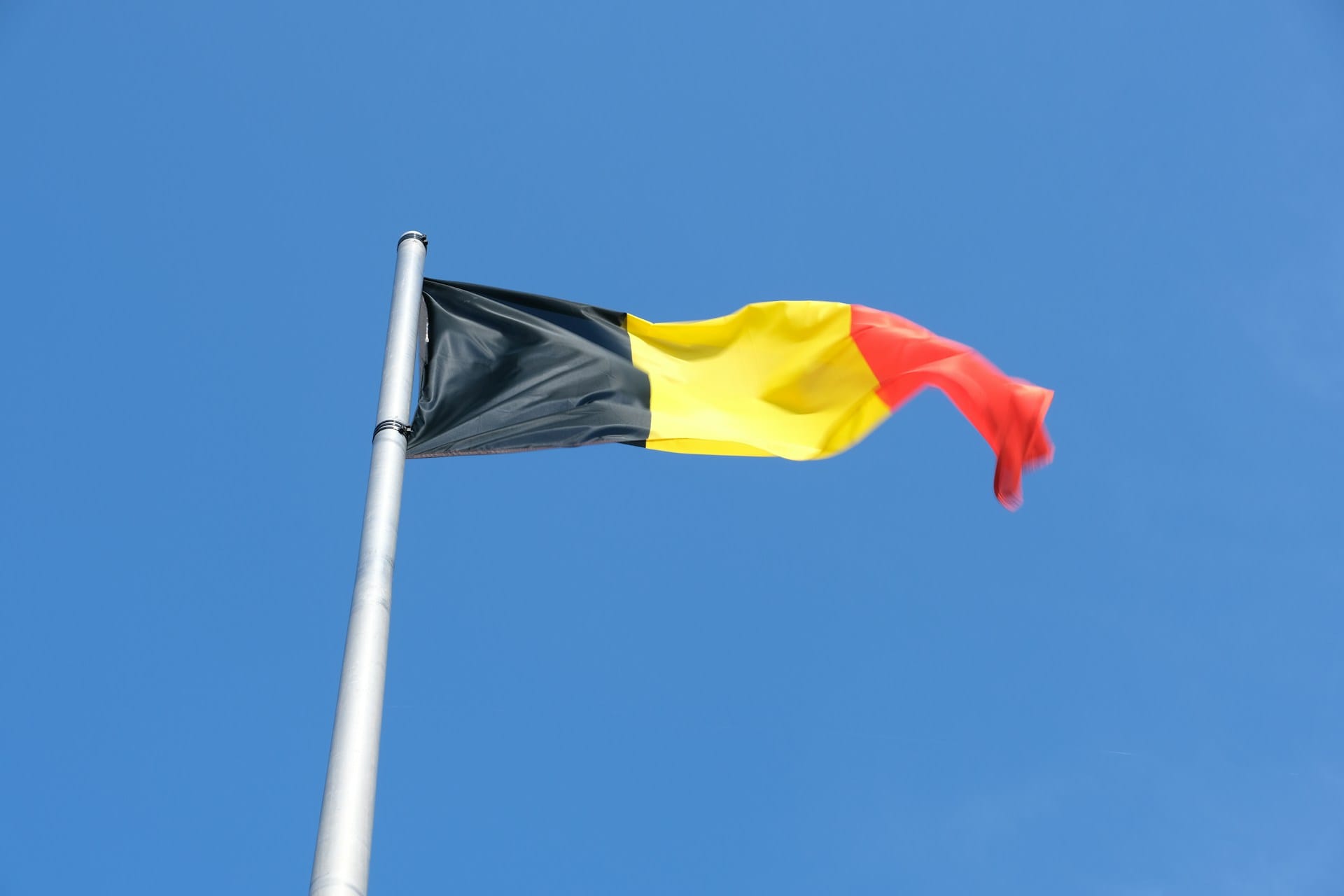 Hubo Bree Openingstijden, Locatie, Assortiment en meer